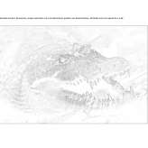 The author made an artistic print Antrain