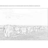 The author made an artistic print Antrain