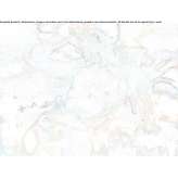 The author made an artistic print Antrain