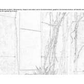 Mycelium Acoustic wall panel Cide