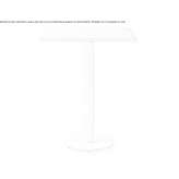 Wooden high table Zitlala