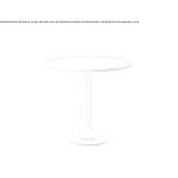 Round table Didesti