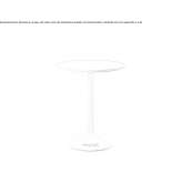 Round table Didesti