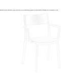 Technopolymer chair with armrests Sykourio