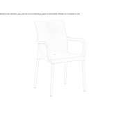 Technopolymer chair with armrests Hornsea