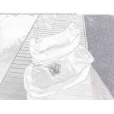 Ogrodowy woreczek z fasolą Plopana