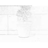 Round concrete flower pot Whitmire