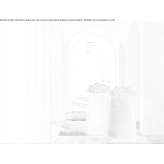 Ceramic vase Biga