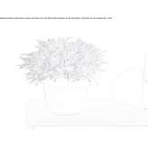 Polyethylene vase Franche