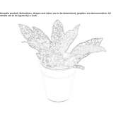 Wazon porcelanowy do uprawy hydroponicznej Zottegem