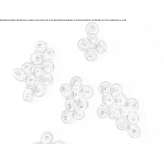 Wall decoration element made of blown glass Bilovec