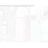 Żywiczny ekran Denguin