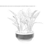 Round flowerpot Lent