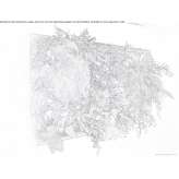 Plant frame Sequeira