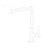 Stainless steel kitchen faucet with pull-out spout Trebur