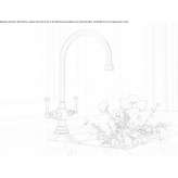 Countertop kitchen faucet with individual rosettes Murphys