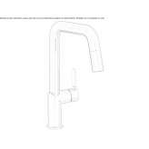 Countertop kitchen faucet with a swivel spout Sisal