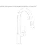 Countertop kitchen faucet with a swivel spout Sisal