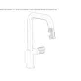Countertop kitchen faucet with a swivel spout Sisal