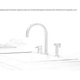 Stainless steel kitchen faucet with spray Rapotin