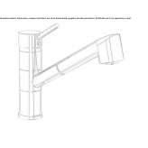 Countertop kitchen faucet with a single handle and pull-out spout Passons