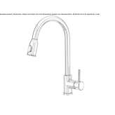 Single-lever kitchen faucet with pull-out spout Passons