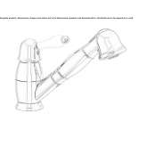 Single-lever countertop kitchen faucet with spray Wanchaq