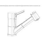 Single-lever kitchen faucet with pull-out spout Passons