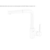 Single-lever kitchen faucet with pull-out spout Bloemhof