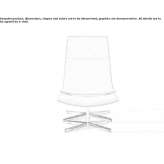 Armchair with a 4-star base Neirone