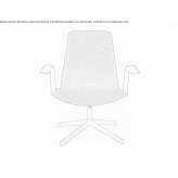 Armchair with 4-star base and armrests Lostau
