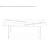 Rectangular methacrylate coffee table Audubon