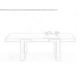 Rectangular coffee table made of wood and brass Fordon