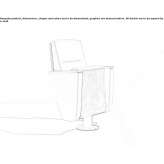Leather auditorium seats Lagan