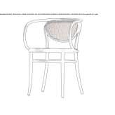 A chair with a seat and backrest made of cane Antigo