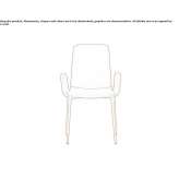 Fabric chair with armrests Diespeck