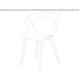 Technopolymer restaurant chair Cosby