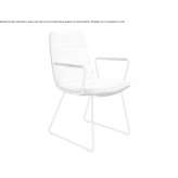 A chair based on a sled with armrests Wagna