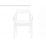 Oak chair Turobin