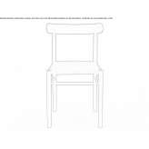 Maple chair with integrated cushion Ramsey