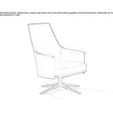 Leather swivel armchair with a 4-star base and armrests Robeasca