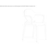 Technopolymer chair with armrests, stackable, Medallion type Kasson