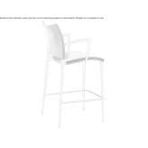 High plastic stool with backrest Ensenada