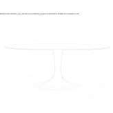 Oval table made of tempered glass Rymarov