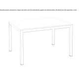 Extendable rectangular table Vasylkiv