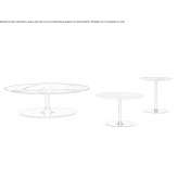 A coffee table McMechen