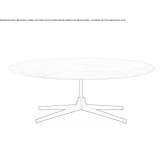 Low oval marble coffee table Canesti