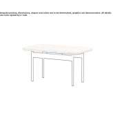 Rectangular plywood coffee table Kolobovo