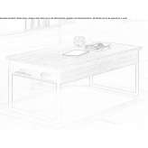 Rectangular coffee table with a lifting top Iaslovat