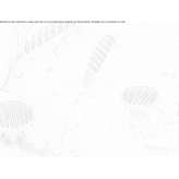 Furniture handle Kyllini